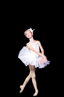 CDA2018Spring_DSC6300